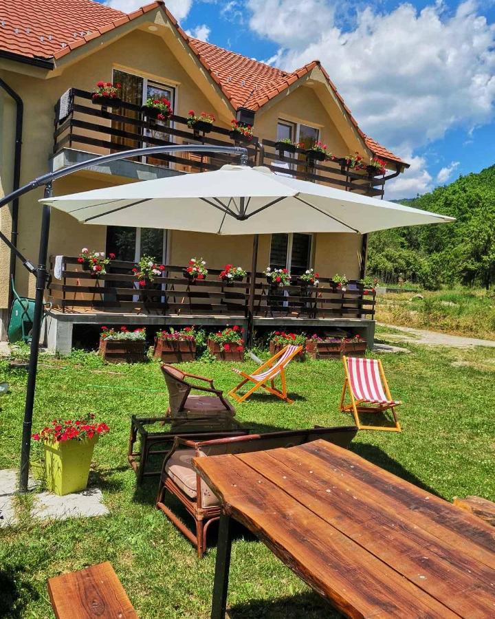 Vila Vrh Crni Vrh Exterior photo